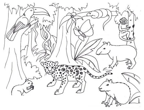 Free coloring pages