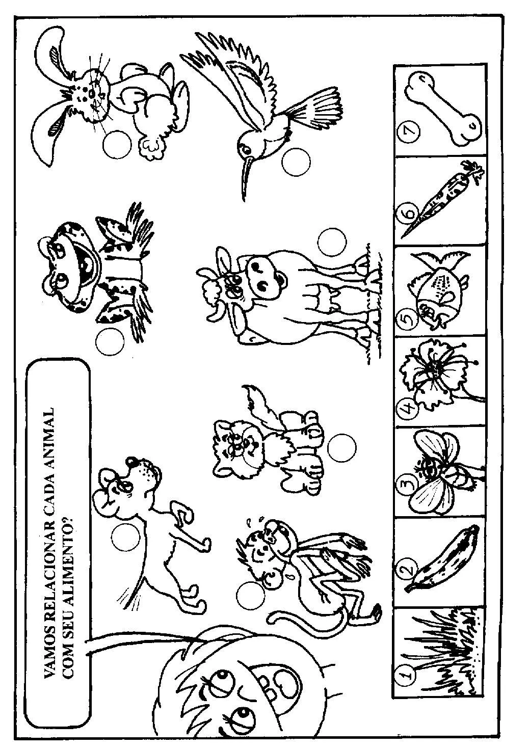Imagenes animales mamiferos para imprimir - Imagui Imagenes animales mamiferos para imprimir - Imagui