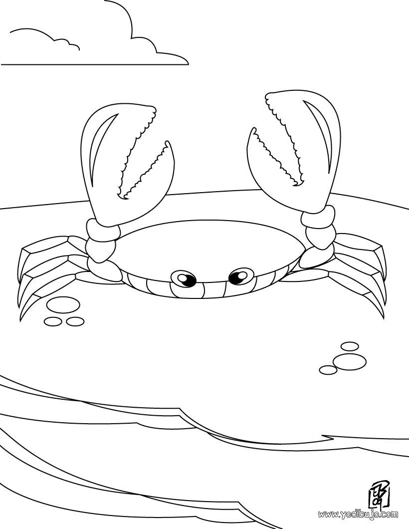 Dibujos para colorear un caracol de mar - es.hellokids.com Dibujos para colorear un caracol de mar - es.hellokids.com
