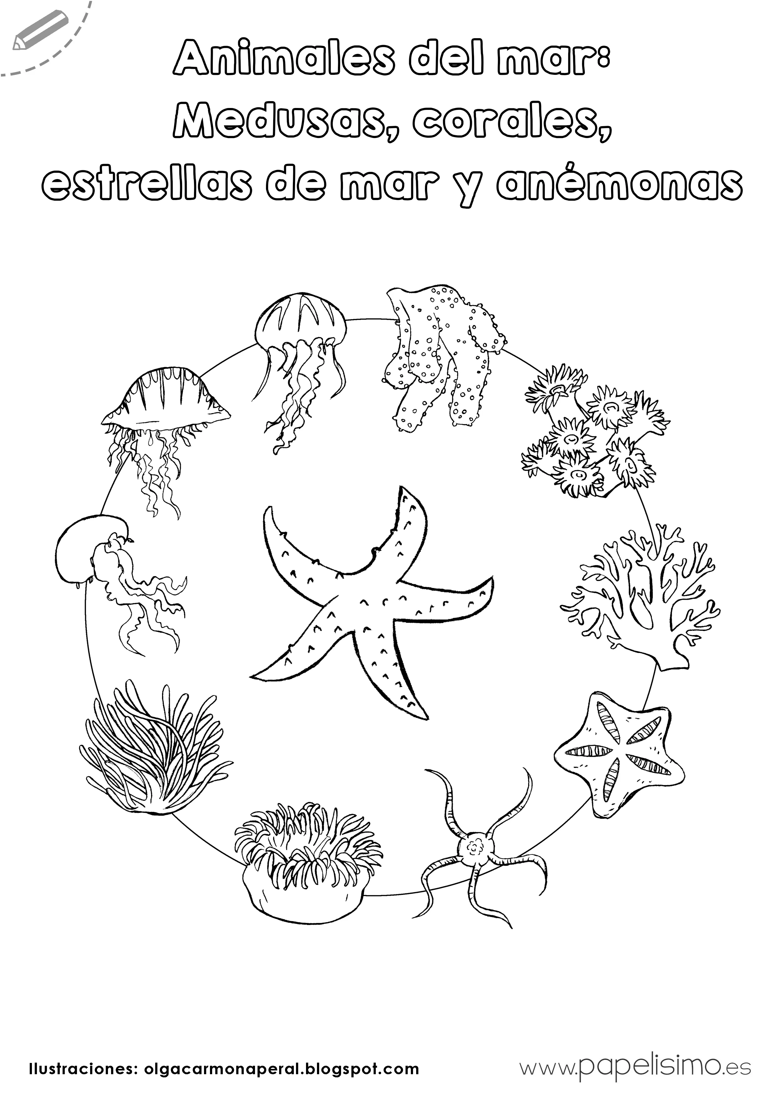 Animales del mar para imprimir y colorear | Papelisimo