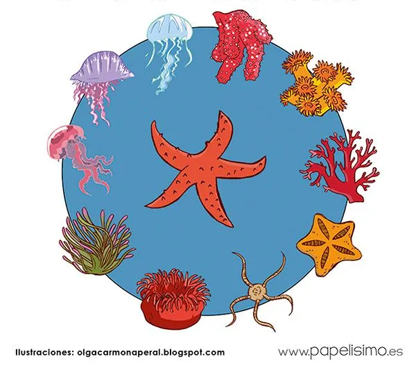 Animales del mar para imprimir y colorear | Papelisimo Animales del mar para imprimir y colorear | Papelisimo