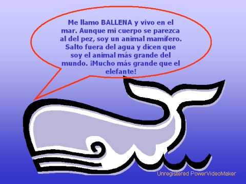 ANIMALES MARINOS - APRENDE Y DIVIÉRTETE CON JOSEFI NA - YouTube