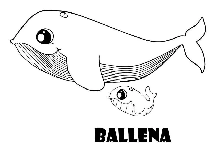 4 animales marinos para dibujar faciles en peligro extincion