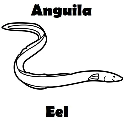 Animales Marinos para dibujar ingles español | Imagenes para ... Animales Marinos para dibujar ingles español | Imagenes para ...