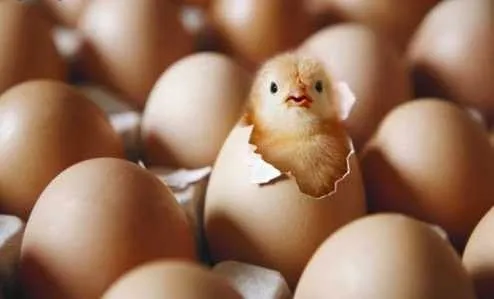 ANIMALES: marzo 2014 ANIMALES: marzo 2014