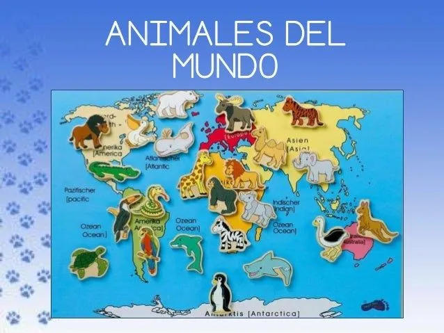 Animales del mundo