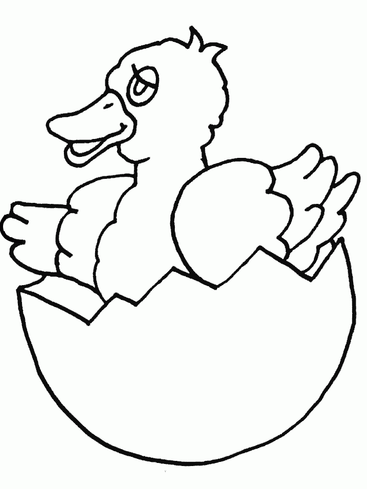 Información sobre el nacimiento de los animales | El BatiBlog ... Información sobre el nacimiento de los animales | El BatiBlog ...