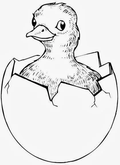 Animales que nacen del huevo para colorear - Imagui Animales que nacen del huevo para colorear - Imagui