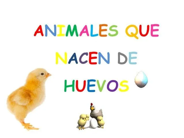 Animales que nacen de huevos