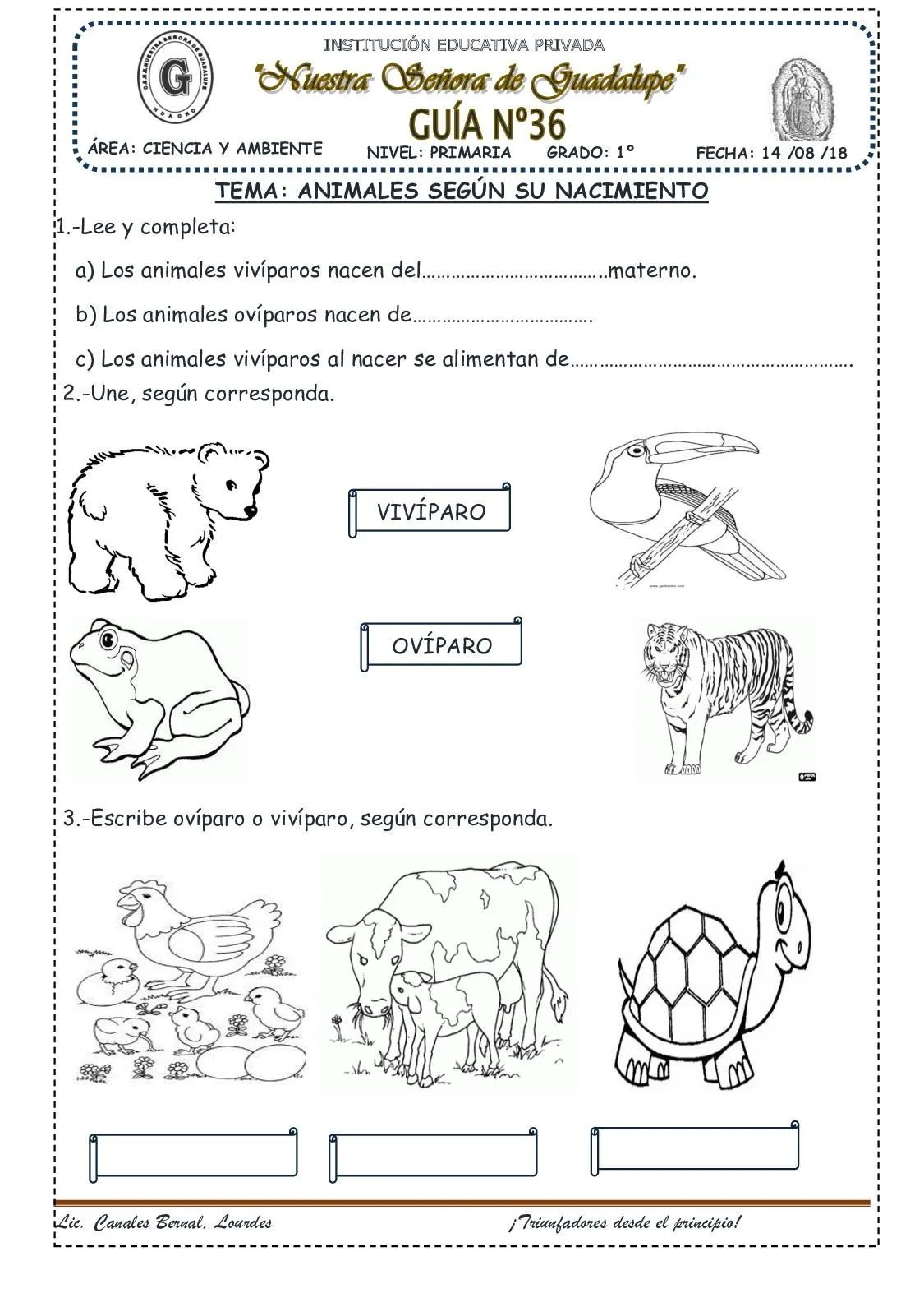 Animales Segun Su Nacimiento(36) | Reproduccion de los animales, Animales oviparos y viviparos, Animales oviparos Animales Segun Su Nacimiento(36) | Reproduccion de los animales, Animales oviparos y viviparos, Animales oviparos
