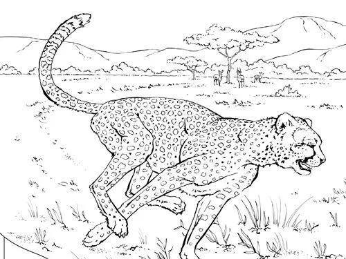 Animales de la A a la Z de National Geographic Kids ‹ Descargables ... Animales de la A a la Z de National Geographic Kids ‹ Descargables ...
