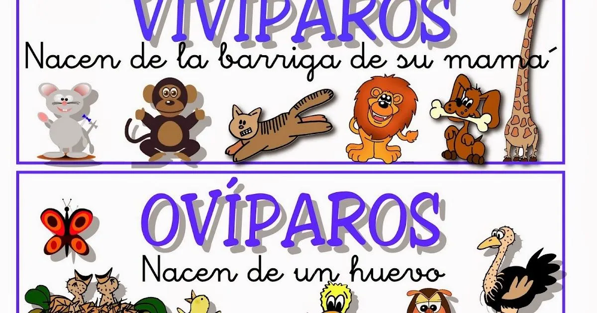 Animales Ovíparos y Vivíparos. - Ciclo Escolar