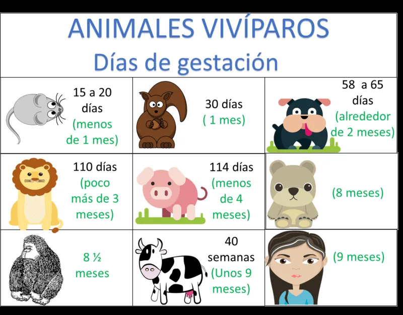 Animales ovíparos y vivíparos - Ciencias Naturales Cuarto de Primaria - NTE.mx recursos educativos en línea Animales ovíparos y vivíparos - Ciencias Naturales Cuarto de Primaria - NTE.mx recursos educativos en línea