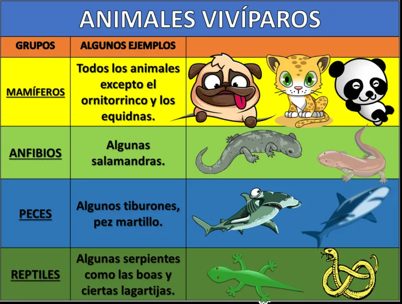 Animales ovíparos y vivíparos - Ciencias Naturales Cuarto de Primaria - NTE.mx recursos educativos en línea Animales ovíparos y vivíparos - Ciencias Naturales Cuarto de Primaria - NTE.mx recursos educativos en línea