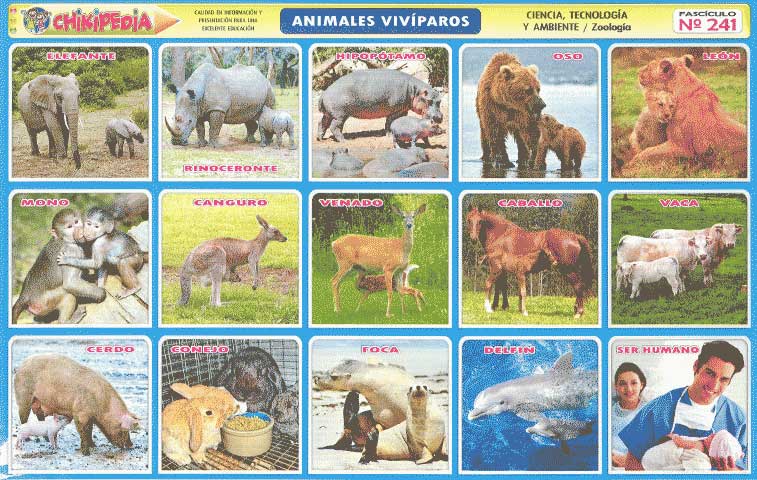 Pedagogía General Básica: Animales Vivíparos Pedagogía General Básica: Animales Vivíparos