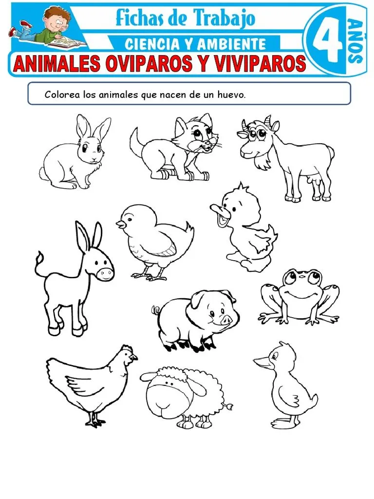 Animales Oviparos y Viviparos para Ninos de 4 Anos | PDF