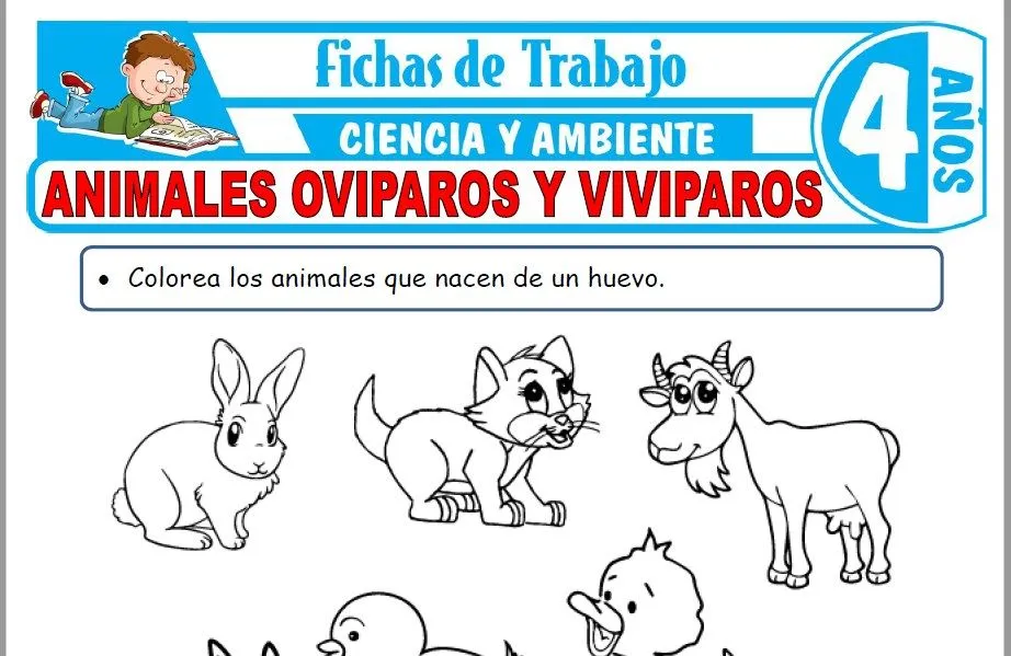 Animales ovíparos y vivíparos para Niños de Cuatro Años – Fichas