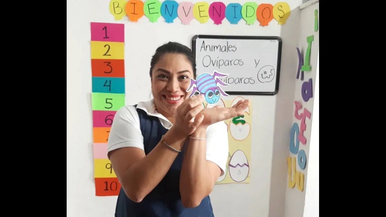 ANIMALES OVIPAROS Y VIVIPAROS . PARA NIÑOS PREESCOLAR - YouTube ANIMALES OVIPAROS Y VIVIPAROS . PARA NIÑOS PREESCOLAR - YouTube