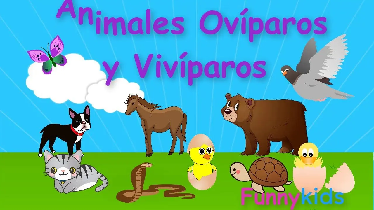 Animales ovíparos y vivíparos para niños . Videos educativos para niños. -  YouTube