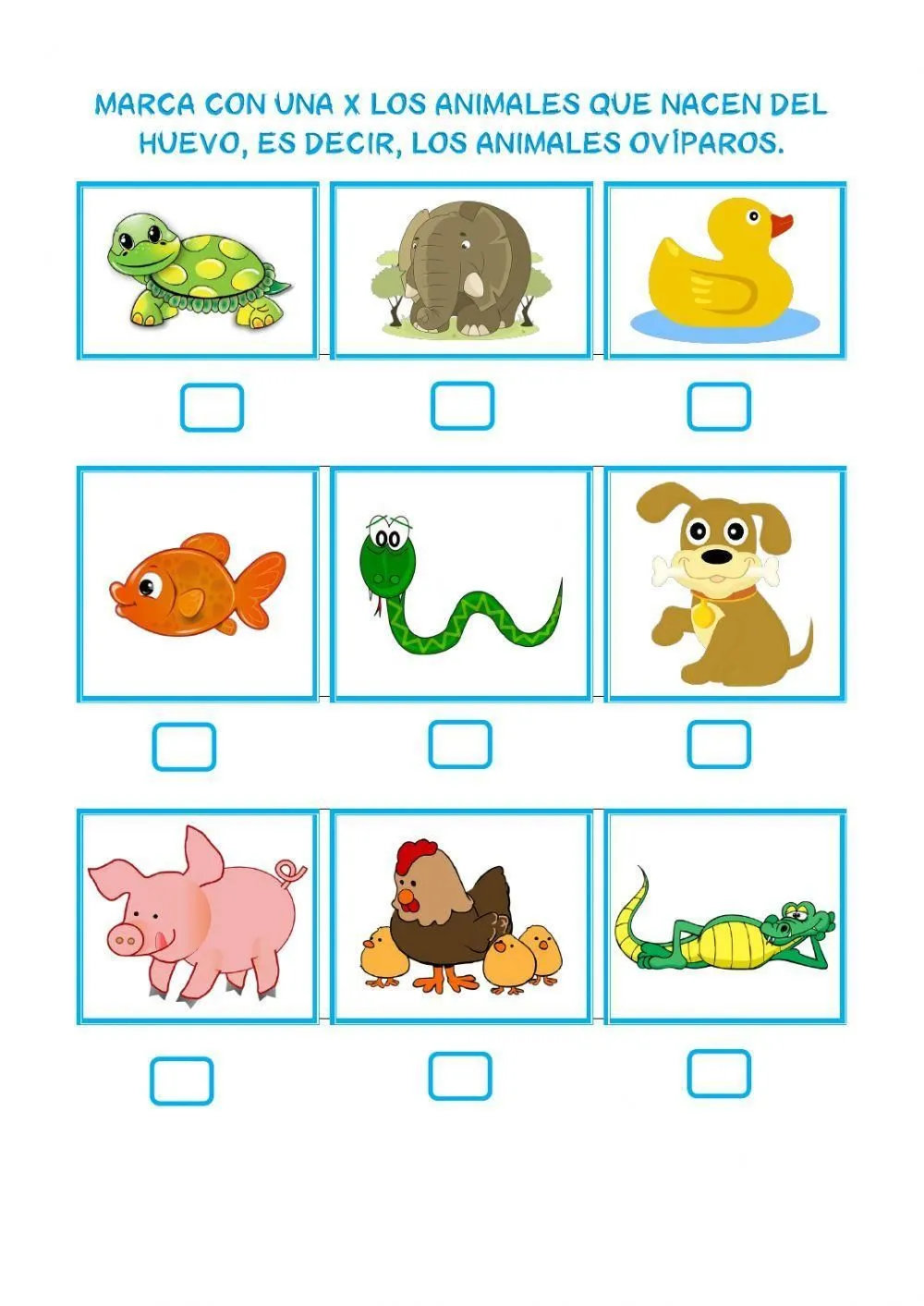 Animales ovíparos worksheet | Live Worksheets Animales ovíparos worksheet | Live Worksheets
