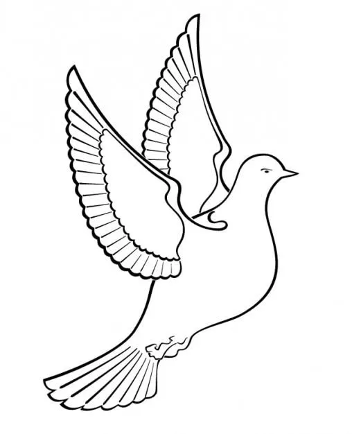 Esbozado pájaro paloma | Descargar Vectores gratis
