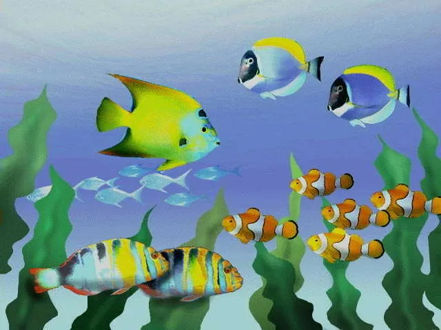 ANIMALES: PECES