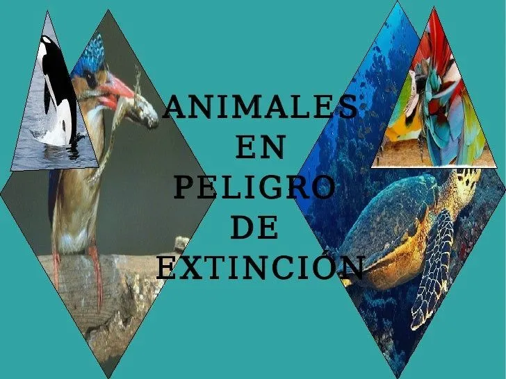 Animales en peligro de extincion en caricatura - Imagui