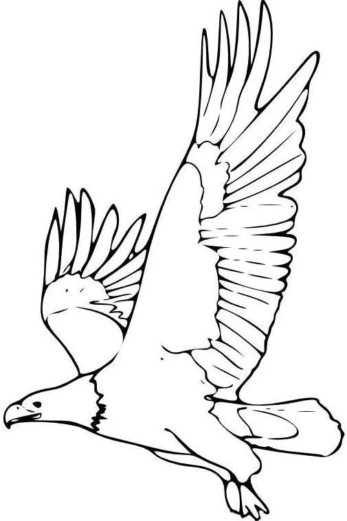 Animales en peligro de extincion animados para colorear - Imagui Animales en peligro de extincion animados para colorear - Imagui