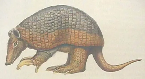 Animales en peligro de extinción (página 2) - Monografias.com Animales en peligro de extinción (página 2) - Monografias.com