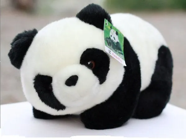 Animales de peluche | Reflexión matutina para menores - 28 Octubre Animales de peluche | Reflexión matutina para menores - 28 Octubre