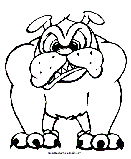 Bulldog para colorear - Imagui