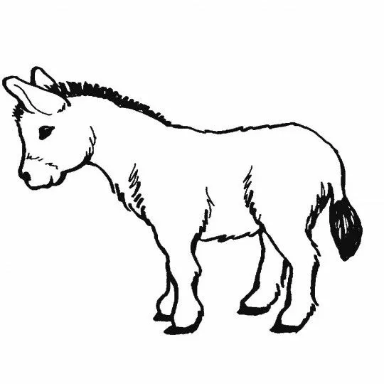 Animales-pintar-540x540.jpg