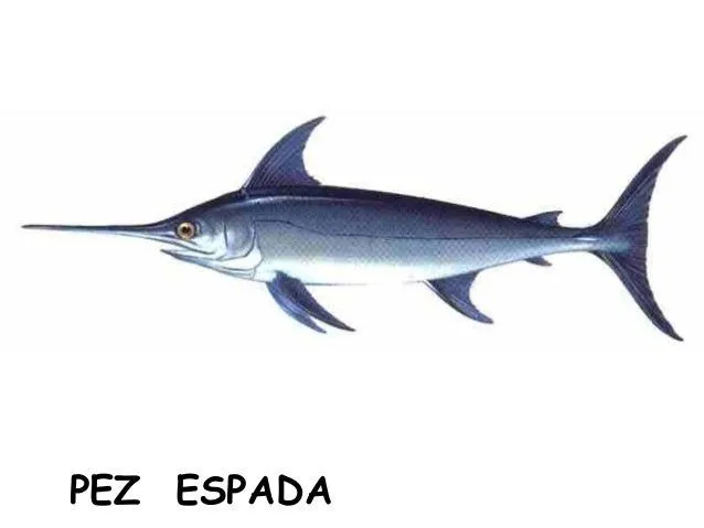 animales-que-nacen-de-huevos- ...