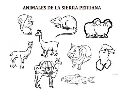 animales de la region sierra del peru para colorear