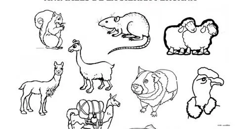 animales de la region sierra del peru para colorear