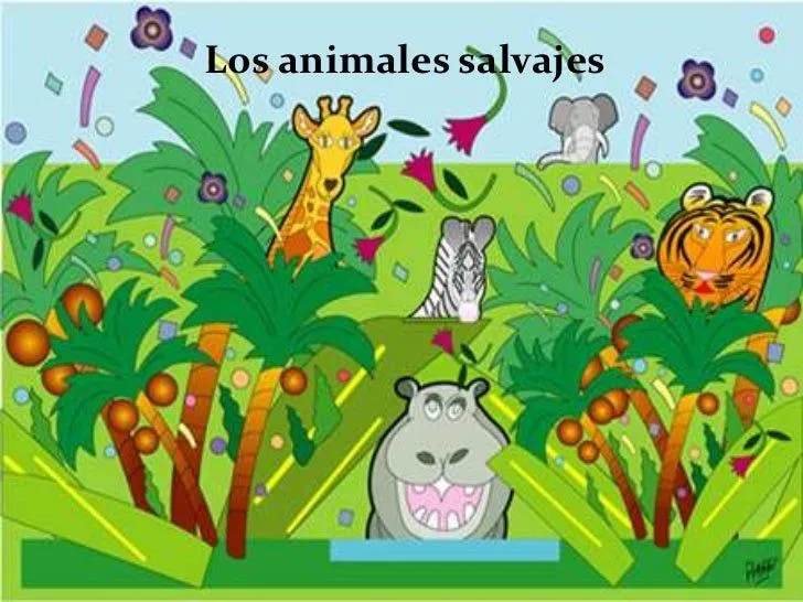 Animales Salvajes