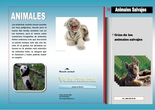 animales-salvajes-crias-1-638. ...