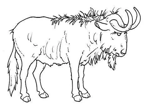 animales salvajes para imprimir