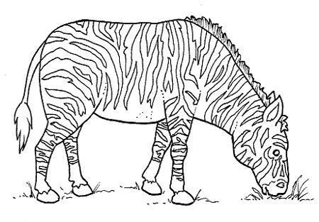 animales salvajes para imprimir