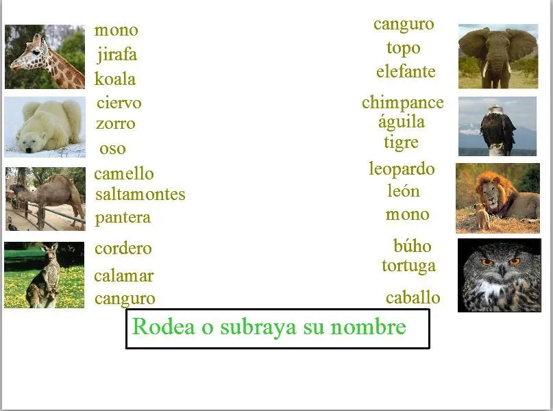 Animales salvajes | Recurso educativo 47410 - Tiching Animales salvajes | Recurso educativo 47410 - Tiching