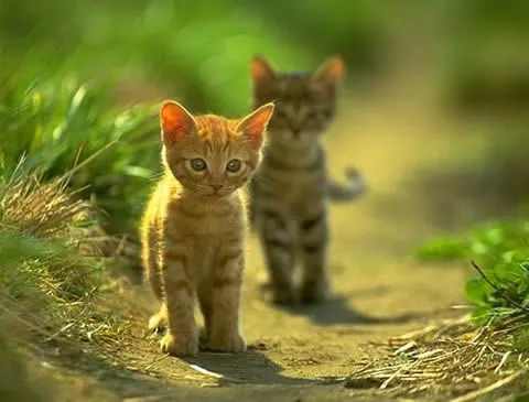 Fotos de paisajes tiernos - Imagui