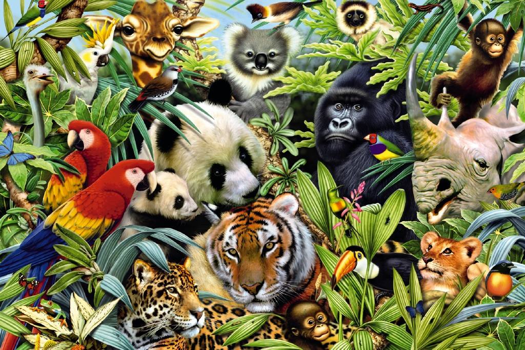 Los Animales de la Selva: Animales que habitan en la selva Los Animales de la Selva: Animales que habitan en la selva