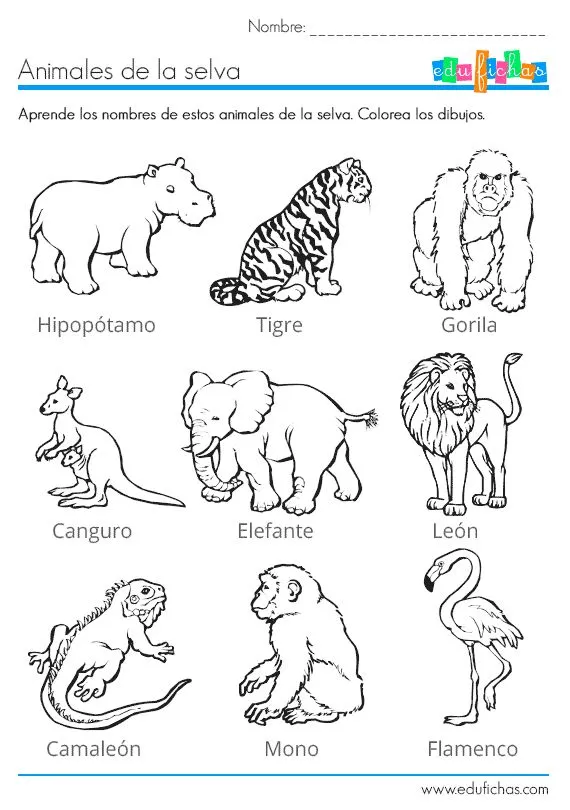 Los animales de la selva para colorear: http://www.edufichas.com ...