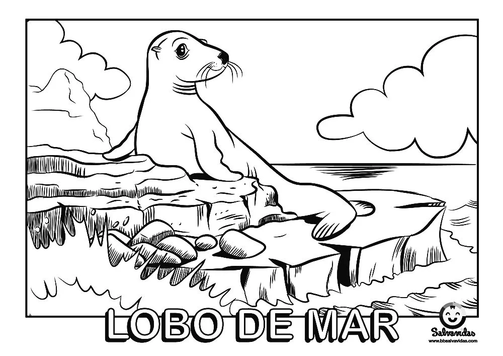 Animales De La Sierra Peruana Animado | Best Makeup Cosmetics Animales De La Sierra Peruana Animado | Best Makeup Cosmetics