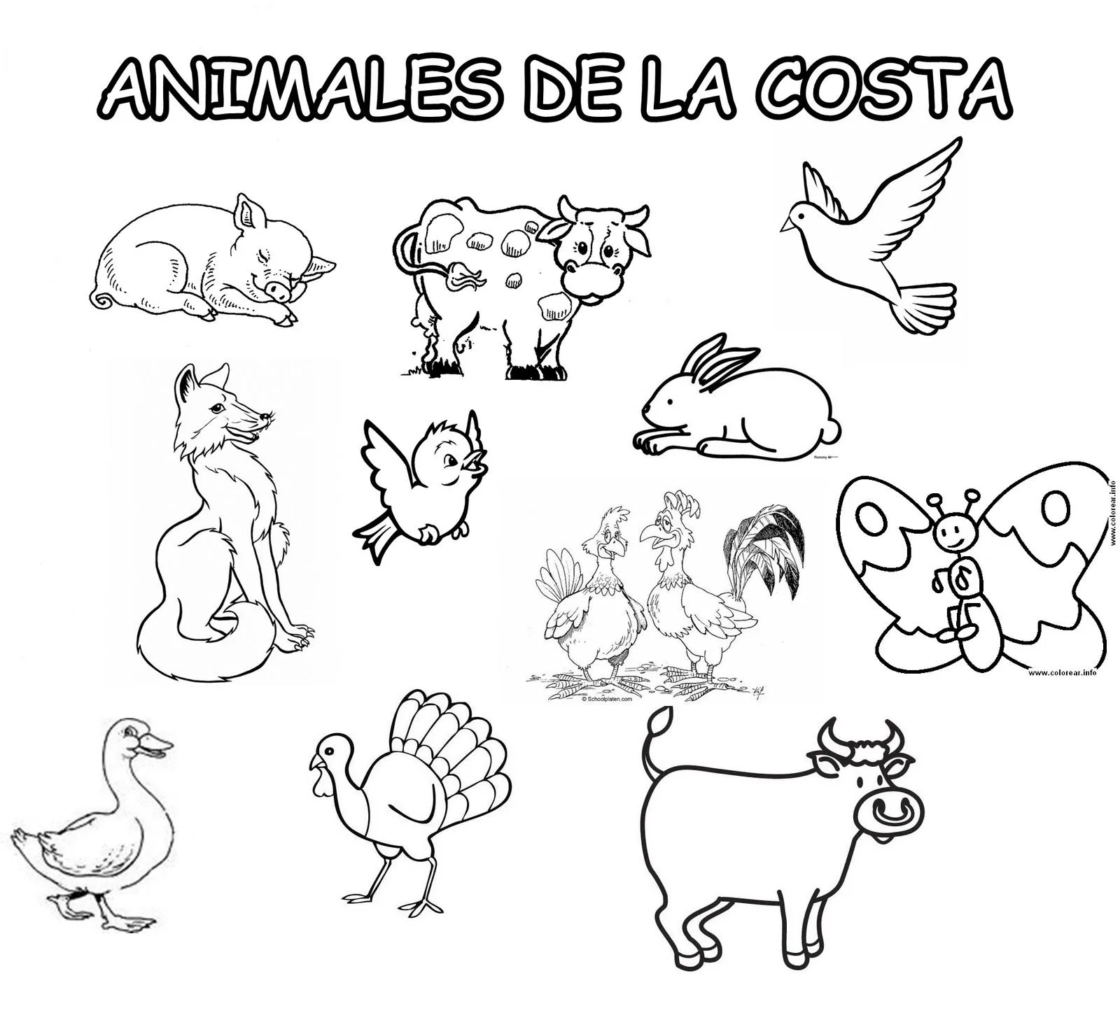 Animales De La Costa Peruana Para Colorear