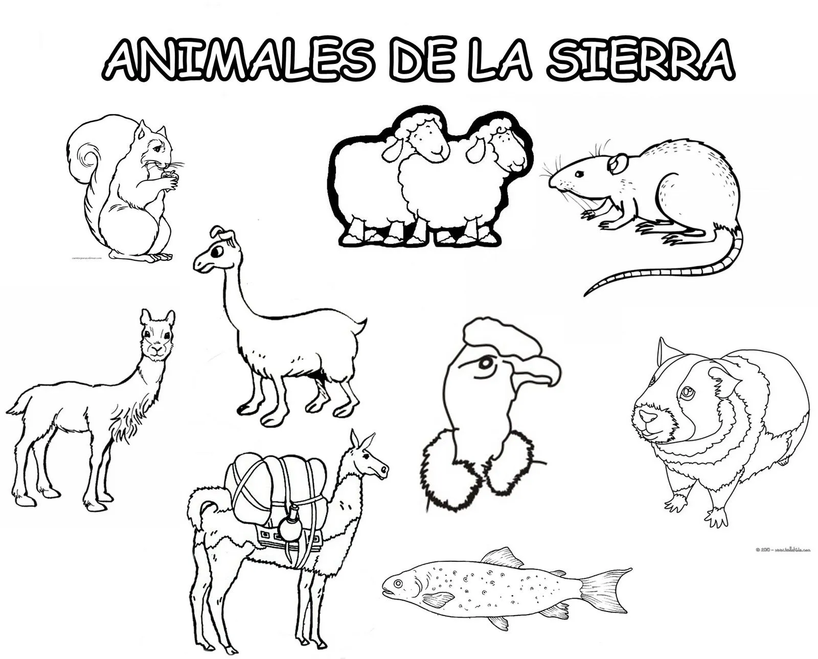 Animales de la sierra peruana para colorear - Imagui Animales de la sierra peruana para colorear - Imagui