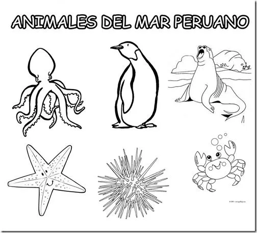 Animales del mar peruano para colorear - Imagui