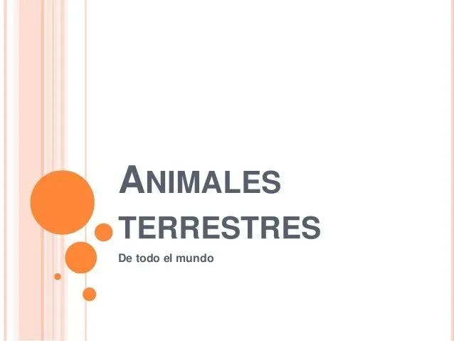 Animales terrestres