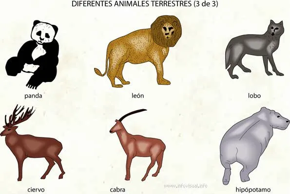 animales terrestres. | diversidad de animales.