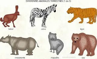 Los Animales Terretres